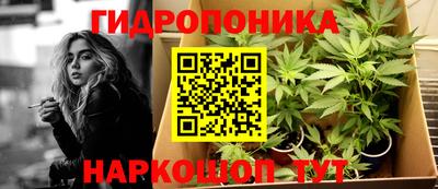 jwh Аша
