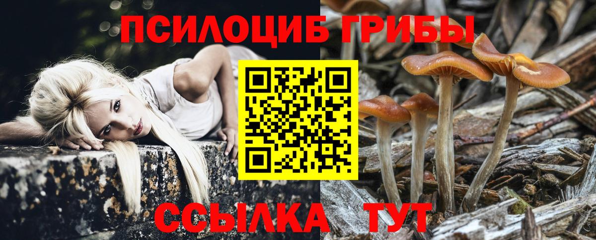 Галлюциногенные грибы ЛСД Баксан