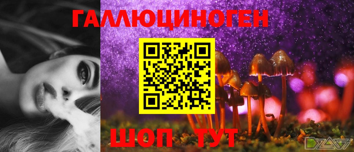 Псилоцибиновые грибы Magic Shrooms  Вход с VPN  Баксан 